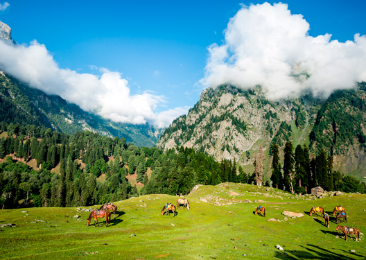 traveldilse-Discover Kashmir